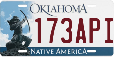 OK license plate 173API