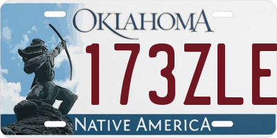 OK license plate 173ZLE