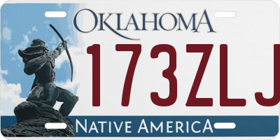 OK license plate 173ZLJ