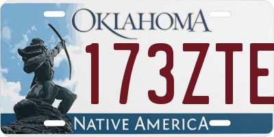 OK license plate 173ZTE