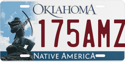 OK license plate 175AMZ
