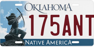 OK license plate 175ANT
