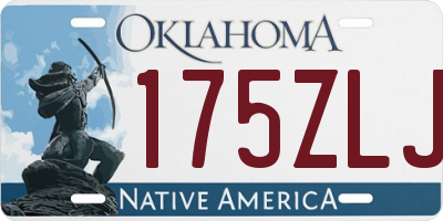 OK license plate 175ZLJ