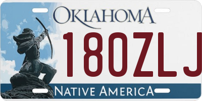 OK license plate 180ZLJ