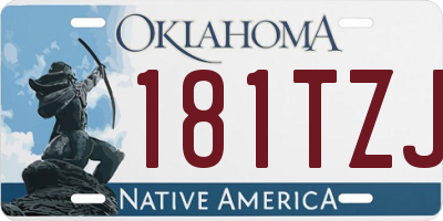 OK license plate 181TZJ