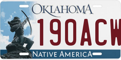 OK license plate 190ACW