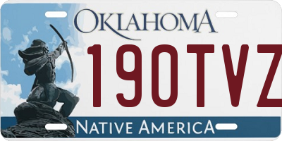OK license plate 190TVZ
