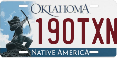 OK license plate 190TXN