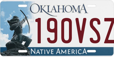 OK license plate 190VSZ