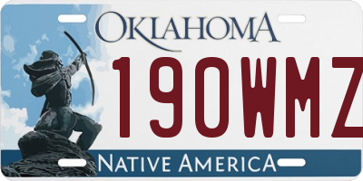 OK license plate 190WMZ