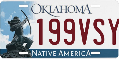 OK license plate 199VSY