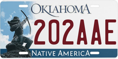 OK license plate 202AAE