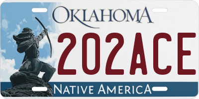 OK license plate 202ACE