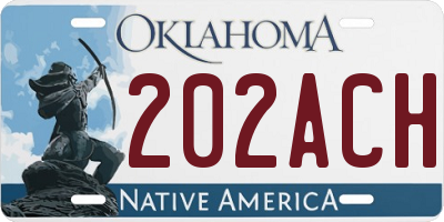 OK license plate 202ACH