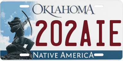 OK license plate 202AIE