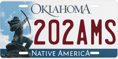 OK license plate 202AMS