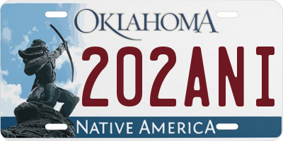 OK license plate 202ANI
