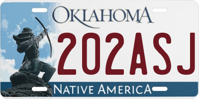 OK license plate 202ASJ