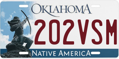 OK license plate 202VSM