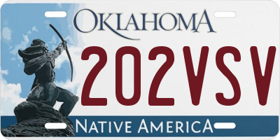 OK license plate 202VSV