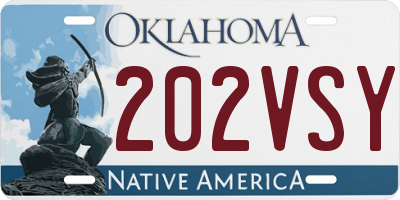 OK license plate 202VSY