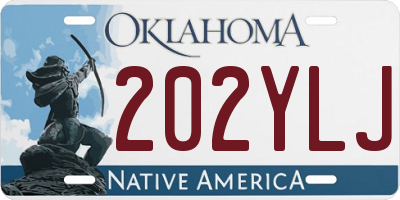OK license plate 202YLJ
