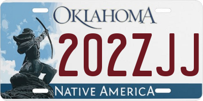 OK license plate 202ZJJ