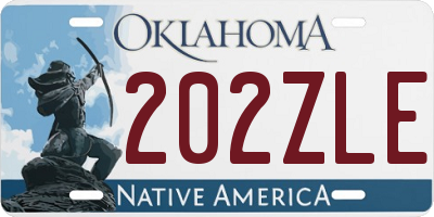 OK license plate 202ZLE