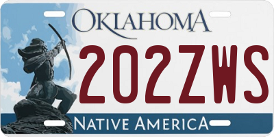 OK license plate 202ZWS