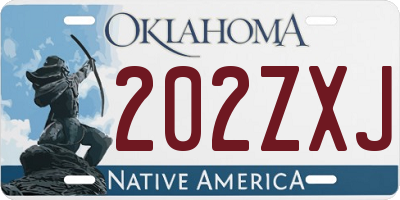 OK license plate 202ZXJ