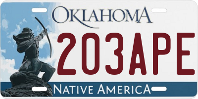 OK license plate 203APE