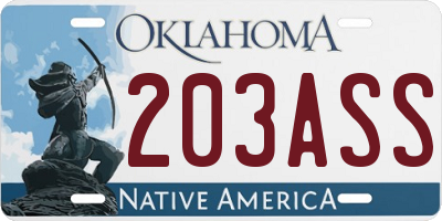 OK license plate 203ASS