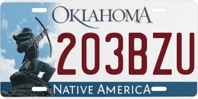 OK license plate 203BZU
