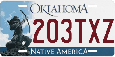 OK license plate 203TXZ