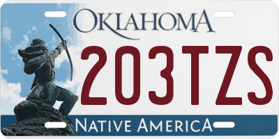 OK license plate 203TZS