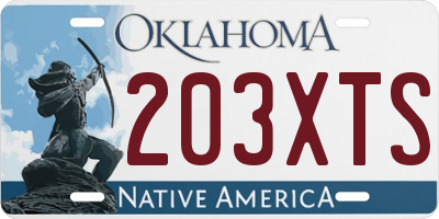 OK license plate 203XTS