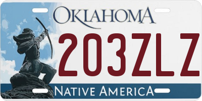 OK license plate 203ZLZ