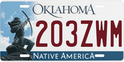 OK license plate 203ZWM