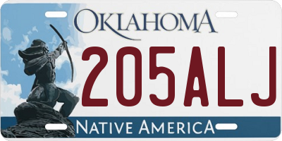 OK license plate 205ALJ