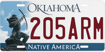 OK license plate 205ARM