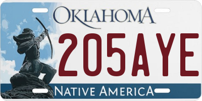 OK license plate 205AYE