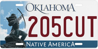 OK license plate 205CUT