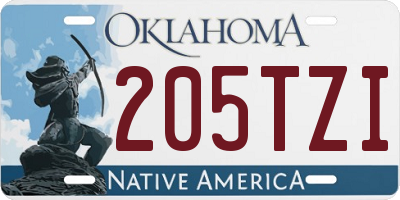 OK license plate 205TZI