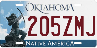 OK license plate 205ZMJ