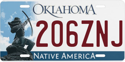 OK license plate 206ZNJ