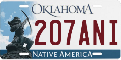 OK license plate 207ANI