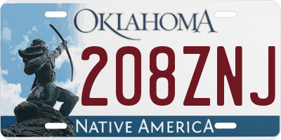 OK license plate 208ZNJ