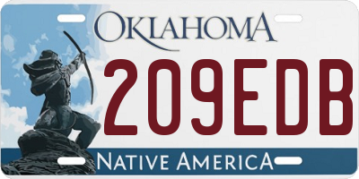 OK license plate 209EDB