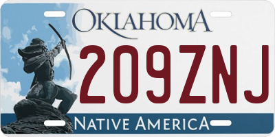 OK license plate 209ZNJ