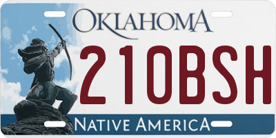 OK license plate 210BSH